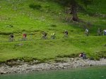gr3_1010263.jpg