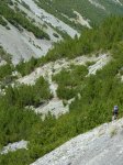 gr3_1010328.jpg