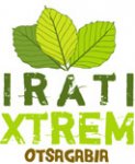 logoirati.jpg