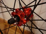 DSC01134.JPG