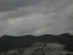 CIMG5919 (Medium).JPG