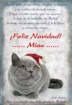 Navidad_Pau_1.jpg