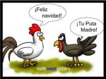 Pavo Globero.jpg