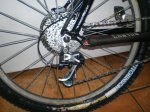 xtr 005.jpg