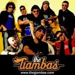 the-gambas-c-61.jpg