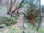 DSC00481.jpg