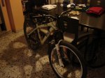 DSC00803.JPG