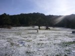 Foto3.JPG