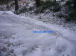 Foto7.JPG