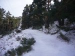 Foto16.JPG