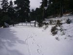 Foto17.JPG