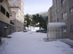 Foto18.JPG