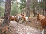 Foto24.JPG