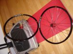 DSC03110.jpg
