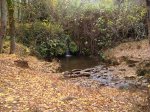 DSC01851.jpg