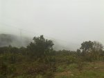 26122009096.jpg