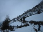 IMG_8696.JPG