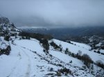 IMG_8698.JPG