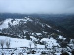IMG_8699.JPG