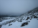 IMG_8715.JPG