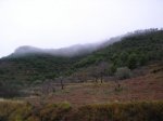salida 26-12-09 004 [Desktop Resolution].jpg