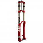rock-shox-boxxer-world-cup-2010-fork-7051-p[1].jpg