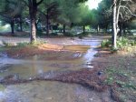 MTB 26.12.09 007.jpg
