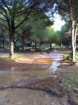MTB 26.12.09 008.jpg