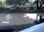 MTB 26.12.09 015.jpg