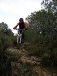 DSCN0820.jpg