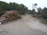 P1030524_800x600.JPG