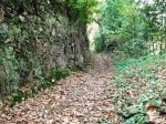 DSCF5031.JPG