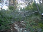andorra 2009 113.jpg