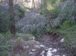 andorra 2009 114.jpg