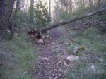 andorra 2009 115.jpg