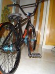 DSC00423.jpg