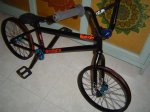 DSC00424.jpg