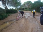 DSC01373.jpg
