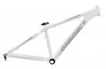santa-cruz-chameleon-2009-mountain-bike-frame.jpg