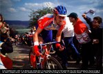 lbl99-vdb.jpg