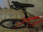 Specialized 4.jpg