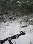 DSCN3965.jpg