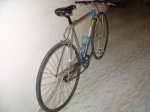 DSC02213.JPG