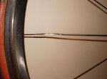 PC280210.jpg