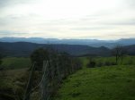 Image_007.JPG
