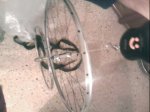 IMG078.JPG