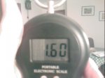 IMG082.JPG