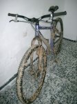 IMGP2973.jpg