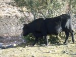 DSCF1777.jpg