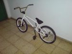 DSC01259.jpg